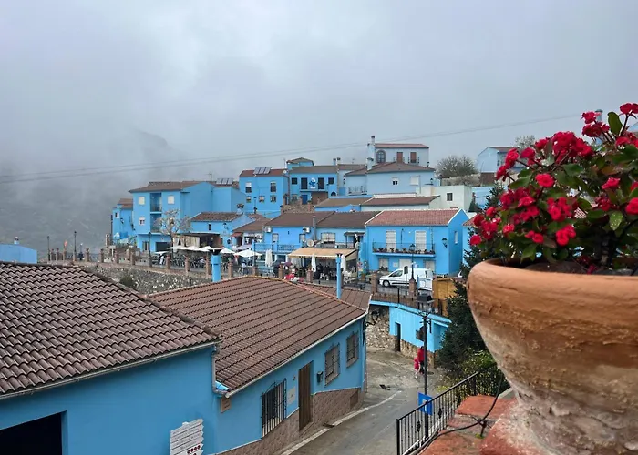 La Casa Del Bosque